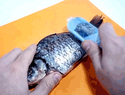 Fish scale remover – Elimina le squame di pesce slider