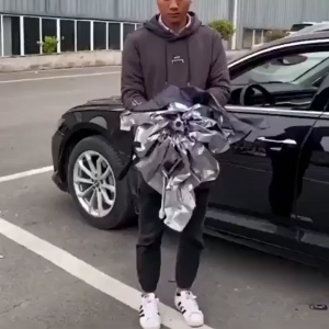 Sunshield – Windshield umbrella – Parasole 03