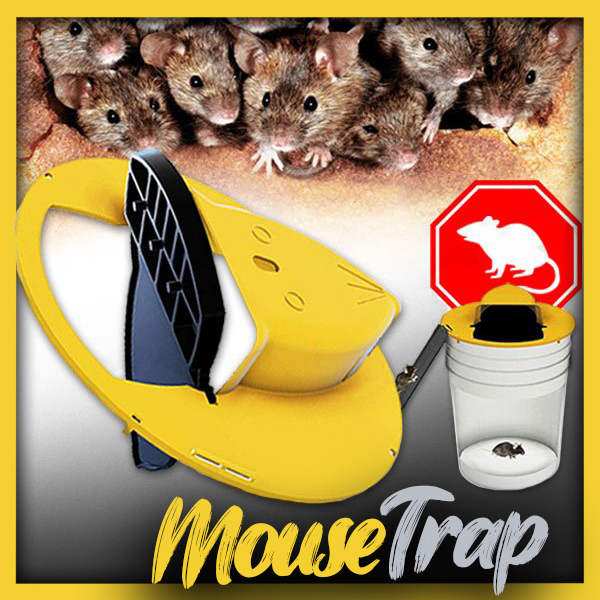 WOW 6 St mouse trappole per topi ratti praticamente Trappola Ratti trappole 