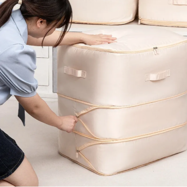 STORAGEBAG – Borsa organizer pieghevole per armadi slider